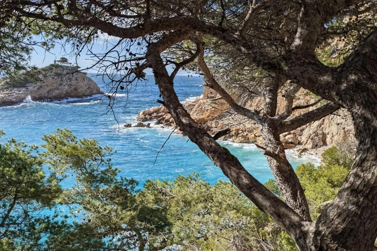 Daire Tranquil 1 Bedroom Close To The Beach With Terrace - Dodo Et Tartine Carry-le-Rouet Fransa